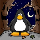 Spooky Trees Background Player Card Coin 60