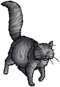 Graymist.queen
