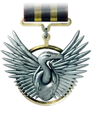 Scavenger medal