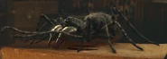 1x2giantArachnid
