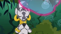 Zecora 'must interfere with your focus' S3E05