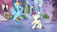 Rainbow Dash 'Come on' S3E1