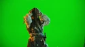 TLOCJSBTSGreenScreenJack3