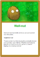 Walln-ut online