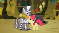 Apple Bloom flatters Zecora 2 S02E06.png