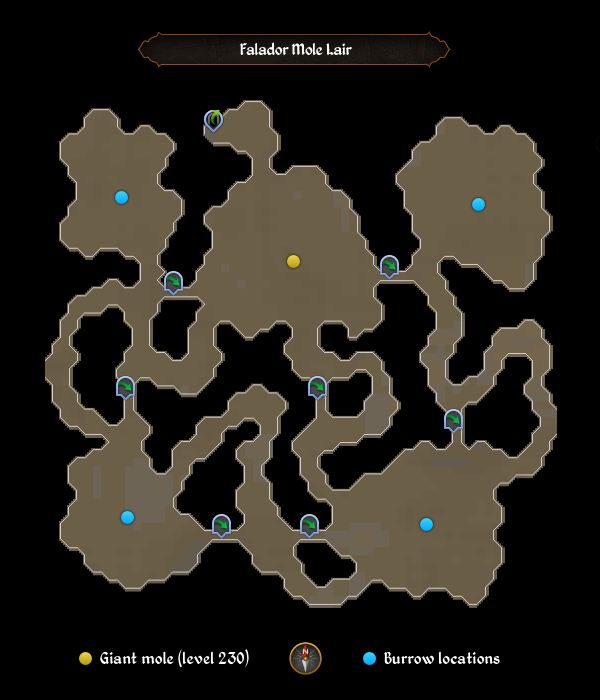 Falador Mole Lair map