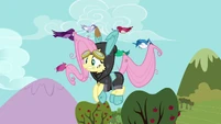 Birds picking up Fluttershy S3E05