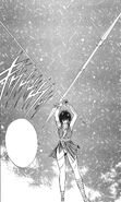 Extending Shinryo Shinto