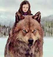 Jacob y Nessie