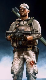US engineer aftermath