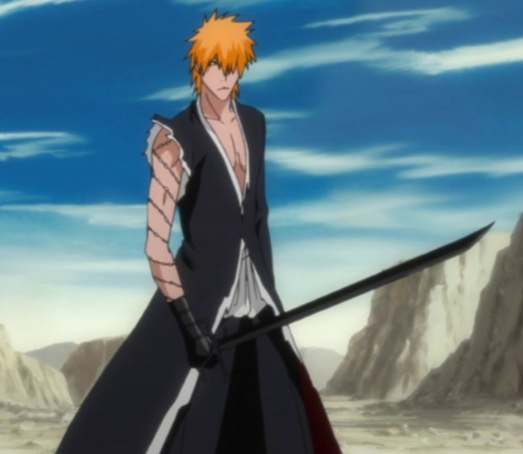 Ichigo vasto lord, Wiki