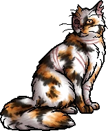 Brightheart.warrior.alt