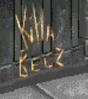 Killa BeeZ