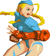 Xsf-cammy1