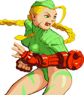 Xsf-cammy2