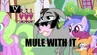 Mule with it