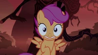 Scootaloo scared 3 S3E06
