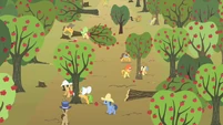 Clearing trees for buffalo S1E21