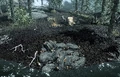 Clam Digger's Camp.png