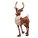 Brown Reindeer