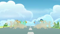 Lightning and Rainbow stops S3E07