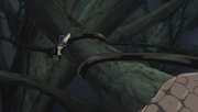 Elasticidad de Orochimaru