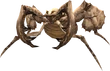 Antlion 1 (FFXI)