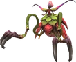 Belladonna 1 (FFXI)