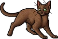 Specklepaw.apprentice