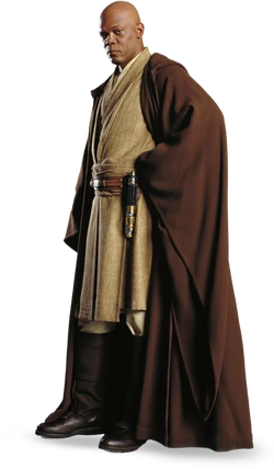 Mace Windu detail