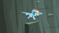 Rainbow Dash flying after Lightning Dust with her injury S3E07