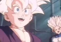 Gohan turnks