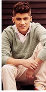 ZaynFacts-1