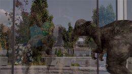 TruthPachycephalosaurusMistakesReflection