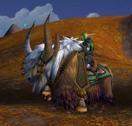 Blonderidingyak