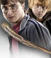 Blackthorn wand.jpg