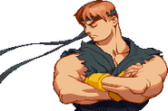Xsf-ryu2