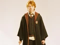 Ron-Weasley-ronald-weasley-30901213-1024-768.jpg