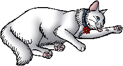 Frostclaw.kittypet