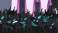 Wechselponyschwarm S2E26