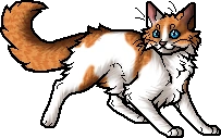 Brightheart.apprentice