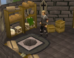 Black Knight's Fortress