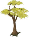 Gold tree.png