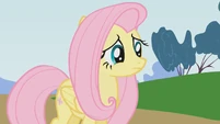 Fluttershy being ignored S01E07