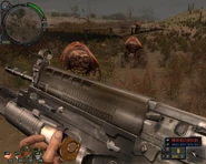 YanovSIGpigs1A