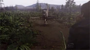 NewWorldCretaceousWoodland