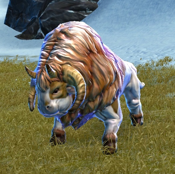 star wars the old republic pets