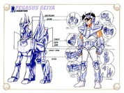 Pegasus Cloth V-02