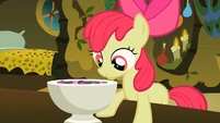 Apple Bloom looking curiously into the bowl S2E6