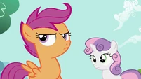 Scootaloo Confused S2E6
